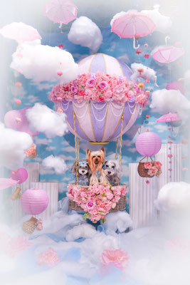 『balloon〜空飛ぶワンコ』