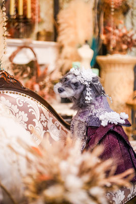『Dried Flowers×753』