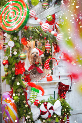 『Candy Pop Christmas』