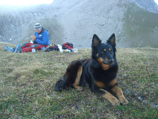 Allgäuer Alpen Rana