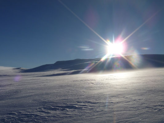 Norwegen Hardangervidda Solo im Winter