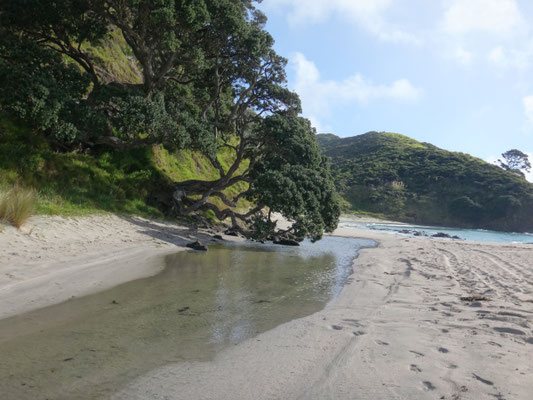 Ein kleiner morgendlicher Strandspaziergang