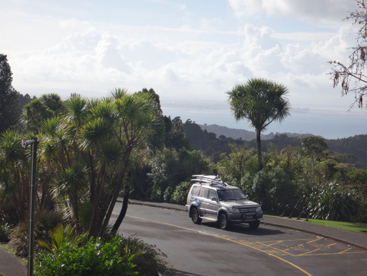 Am Rande des Waitakere Nationalparks