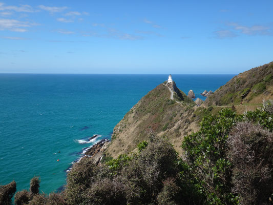 Der Aussichtspunkt und Leuchtturm am Nugget Point, links unten die Seewacht beim Bootebergen