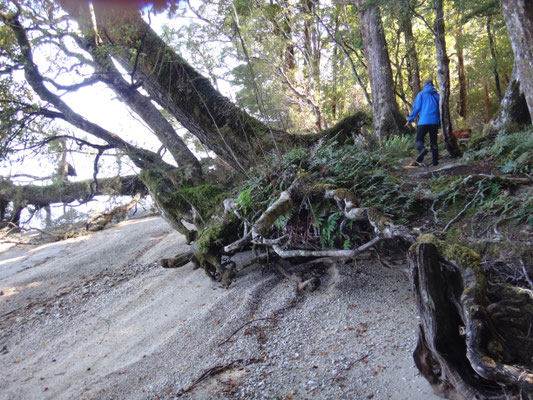 Auf dem Weg zum Olong Hill