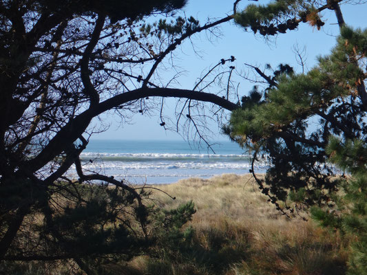 Blick vom Platz zum Strand und auf das Meer!