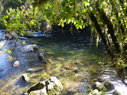 Crystal Pool... der Sommer kann kommen und wir kommen mit Sicherheit wieder! :)