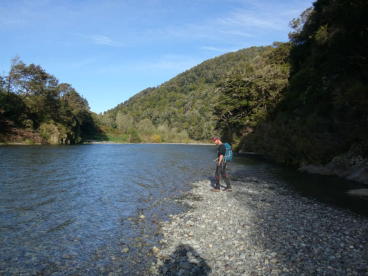 Pelorus River