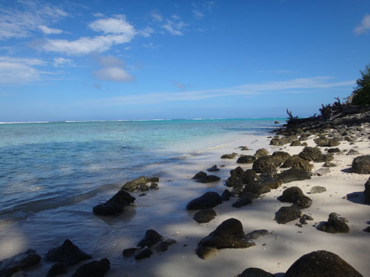 Einmal um die kleine Insel