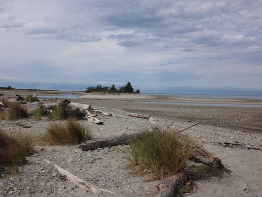 Strand bei Ebbe in Motueka