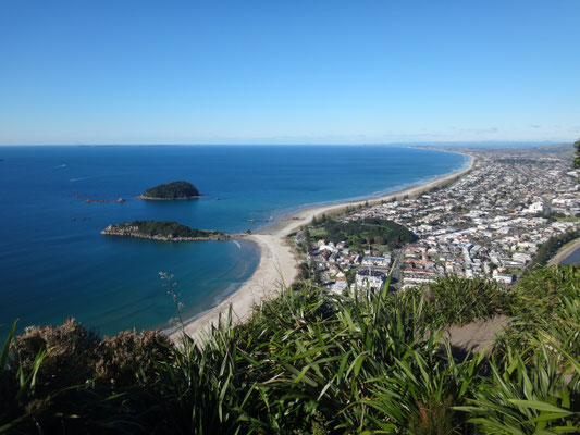 Stadtteil Mount Maunganui zu unseren Füßen