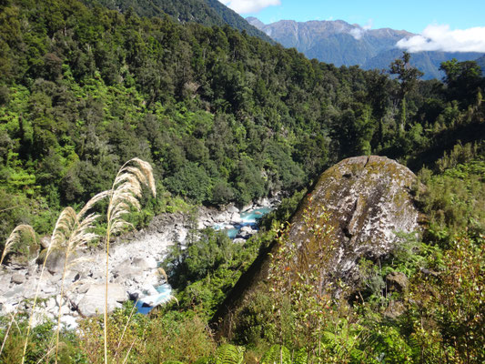 Heute leuchtet das Wasser des Copland Rivers blau zu uns herauf