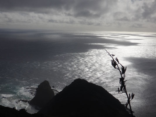 Ein Blick über das Meer... 