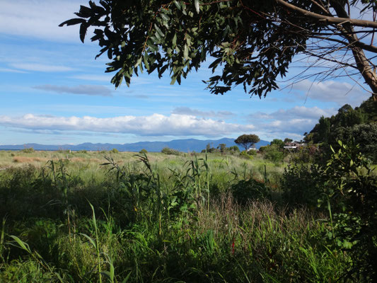 Blick in die Dünenlandschaft