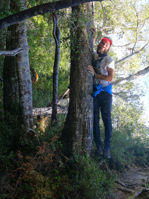 Kai und ein Baum... was macht diesen Baum so besonders?