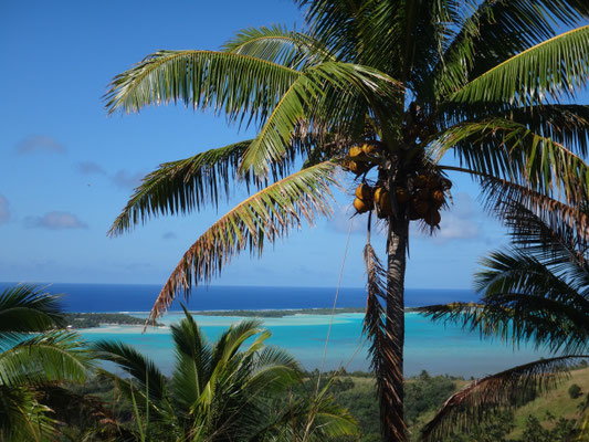 Palmen, Sonne und Meer... Aitutaki