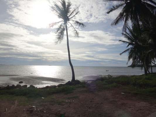 Fahrt am Meer entlang