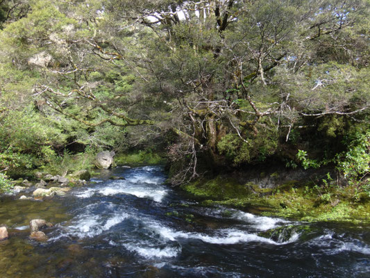 Der klare Riwaka River