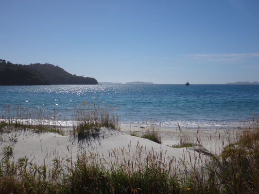 Immer noch entlang der Asphaltstraße an der Horseshoe Bay