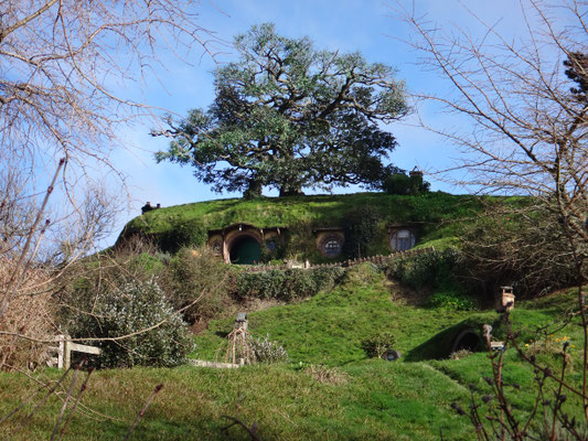 Da oben ist die bekannteste Hobbitbehausung von Bilbo Beutlin