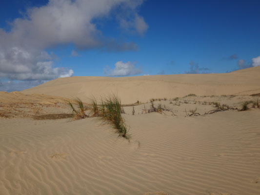 Sand über Sand über Sand! 