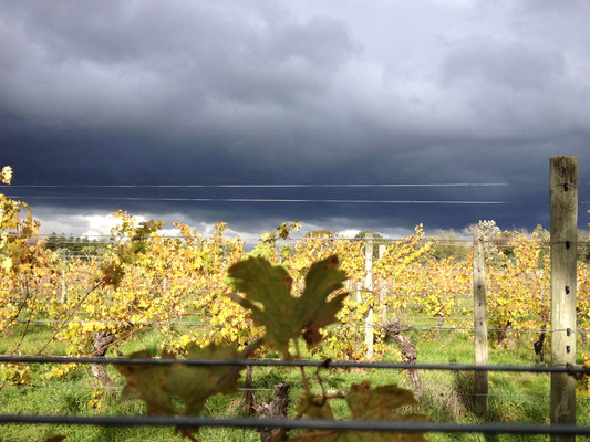 Weltuntergangsstimmung ueber dem Weingut! Erstaunlicherweise zog dieser Wolkenberg an uns vorbei