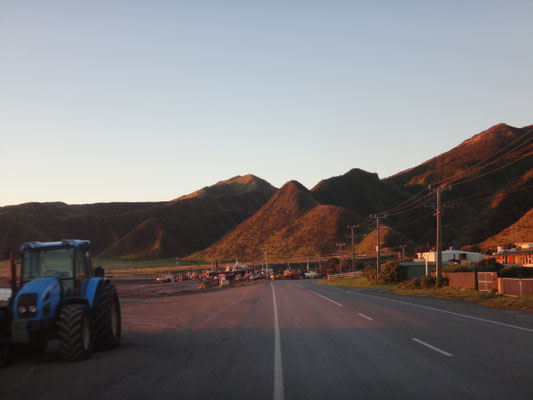 Auf dem Weg zurueck nach Martinborough immer am Meer lang