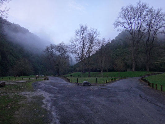 Ein leerer, kostenloser Campingplatz im Mangaokewa Reserve in der Nähe von Te Kuiti