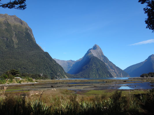 Auf Wiedersehen Milford Sound Village :) 