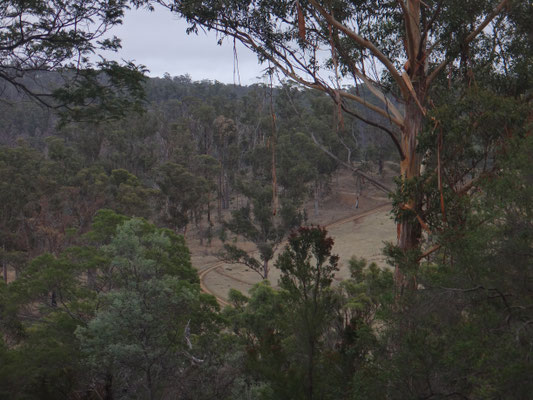 Eine australische Offroadstraße... keine Ähnlichkeit zu Neuseeland finden wir. 