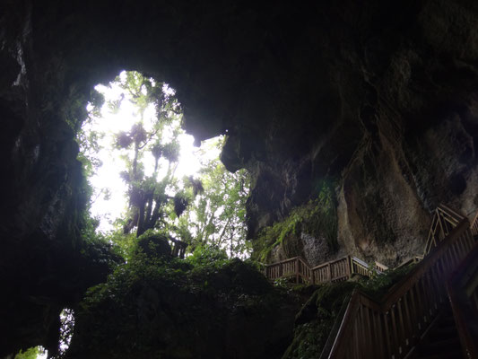 Magapohue Natural Bridge