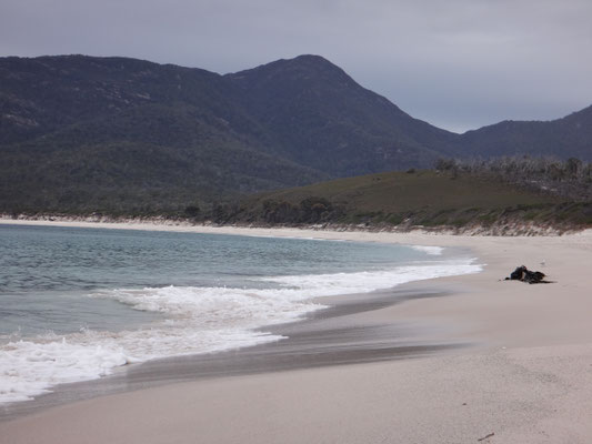 Wineglas Bay Strand