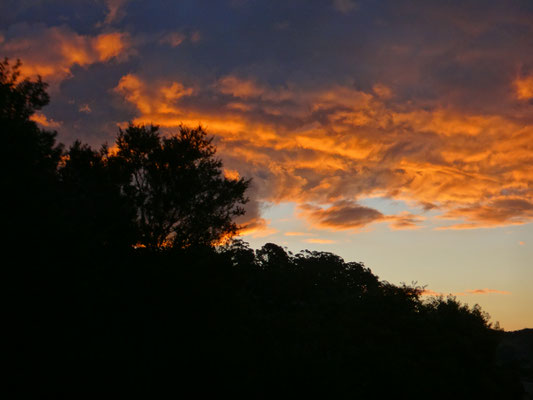 Sonnenuntergang während der Fahrt