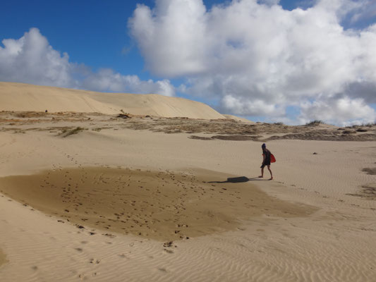 Wir wandern durch die ausufernde Wüstenlandschaft auf die wirklich hohen Dünen zu