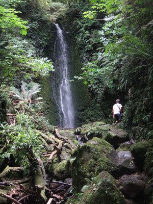 Angekommen: am Wasserfall im Leith Valley :)