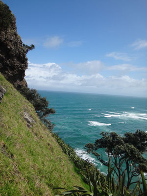 Steil ansteigender Hang des Lion Rock