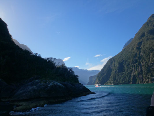 Nach dem Wenden auf dem Meer am Eingang des Milford Sound