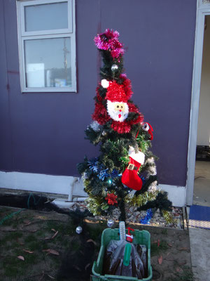 John gab uns sogar einen Weihachtsbaum... die Girlanden verdeckten zwar nach dem Schmücken den Baum, aber unser Bierexperiment ist  noch ganz gut sichtbar. :)