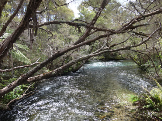 Lauf des Pupu Rivers