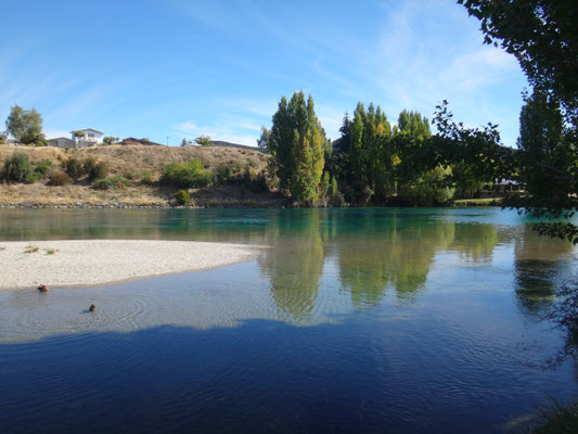 Blick von unserem Stellplatz auf der Campsite in Albert Town