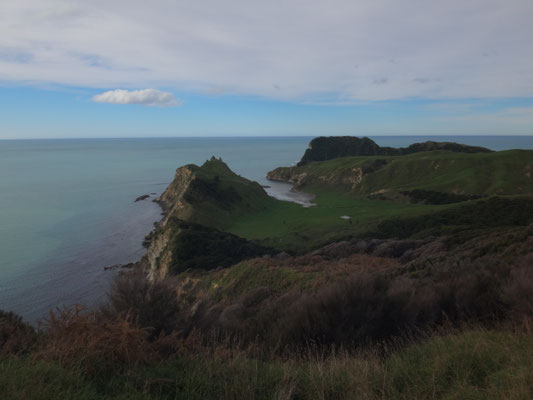 Wir sehen sie schon: Cooks Cove! Nur noch durch den Wald und unten über die Wiese... und zu der schmalen Bucht dort!