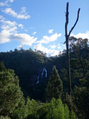 Blick vom Parkplatz auf die St. Columba Falls