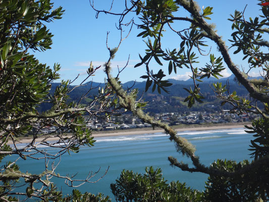 Whangamata hinter den Bäumen