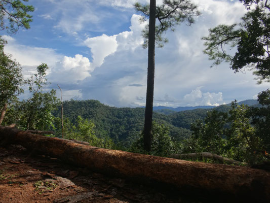 Aussicht vom höchsten Punkt der Wanderung