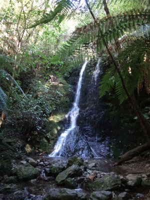 Einer der zwei Wasserfälle im Pelorus Valley