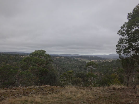 Blick über die Umgebung von Buckland