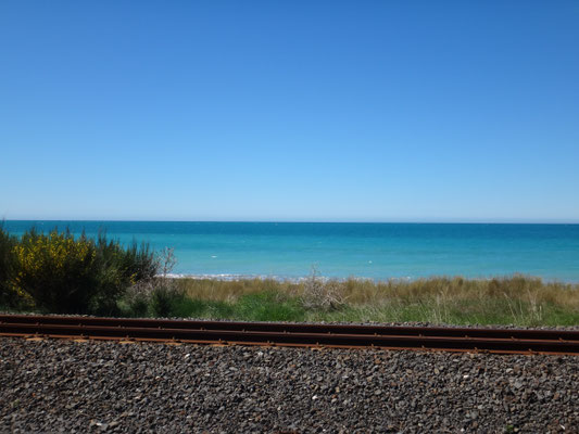 Zwischen Kaikoura und Blenheim