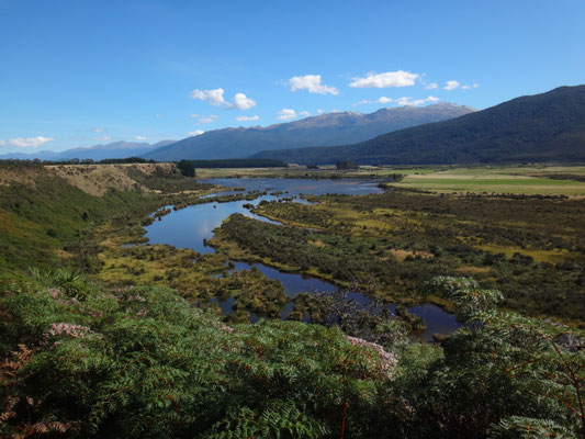 Blick auf die Wetlands kurz vor Manapouri