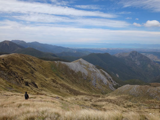 Der Blick ins Tal, den letztes Mal die Wolken verschluckt haben... man sieht bis nach Motueka und Nelson