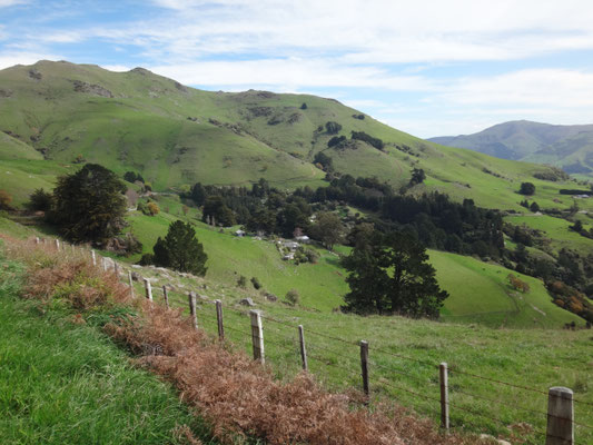 Grasgrüne Berglandschaft